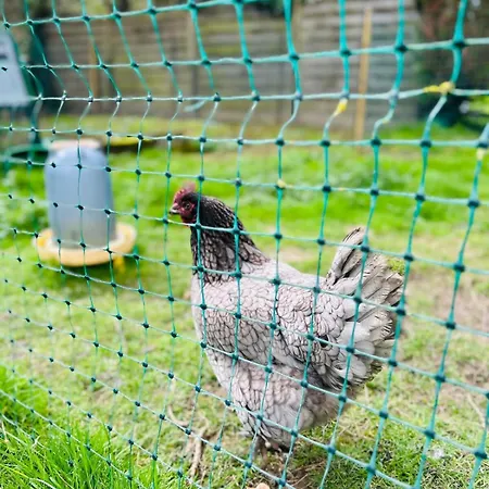 Le D'en Bas Quesnoy-le-Montant