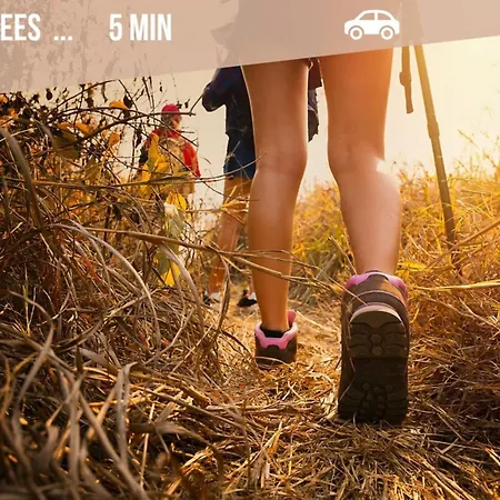 Le D'en Bas Hébergement de vacances