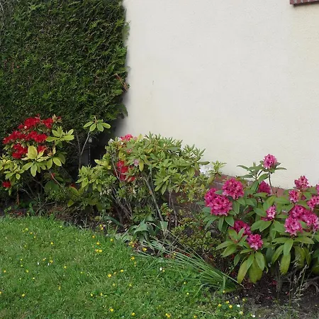 Le D'en Bas Quesnoy-le-Montant
